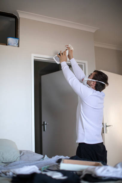 Best Asbestos and Lead Testing During Mold Inspection  in Winsted, MN