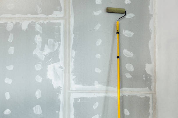 Best Biohazard Mold Removal  in Winsted, MN