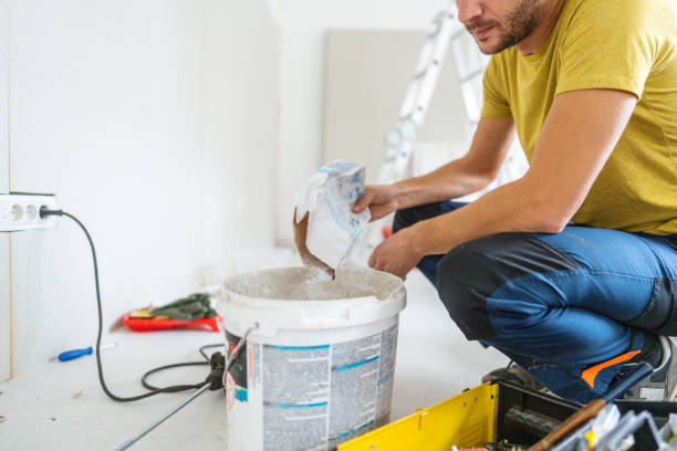 Best Basement Mold Removal  in Winsted, MN