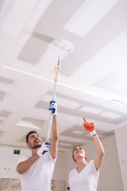 Best Black Mold Removal  in Winsted, MN