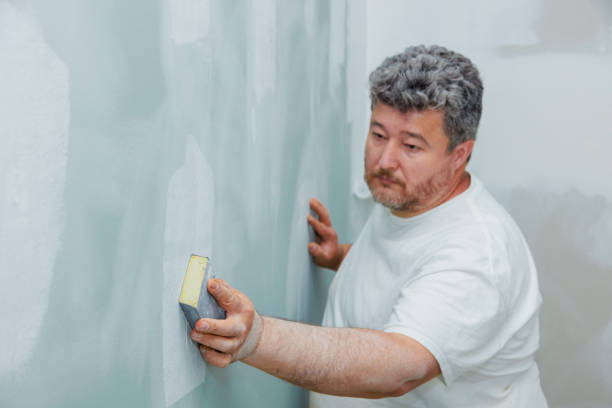 Reliable Winsted, MN Mold Removal Solutions