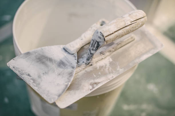 Best Mold Documentation for Insurance Claims  in Winsted, MN